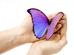 butterfly-totem-temp-300